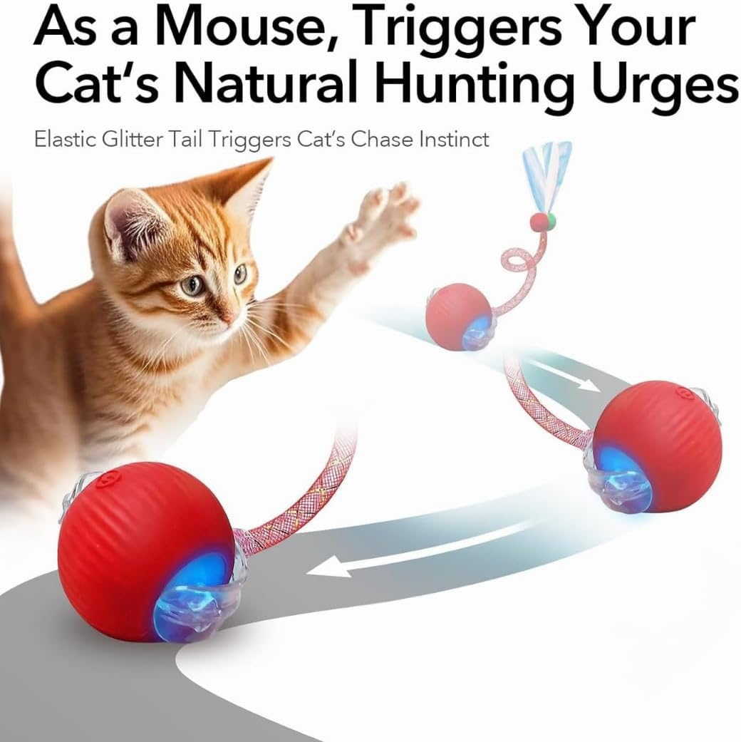 Elegancy Speedy Tail 2.0 Interactive Cat Toy – Dual-Speed Rolling Ball with Feather Tail & Motion Activation | Rechargeable Cat Toy for Indoor Cats